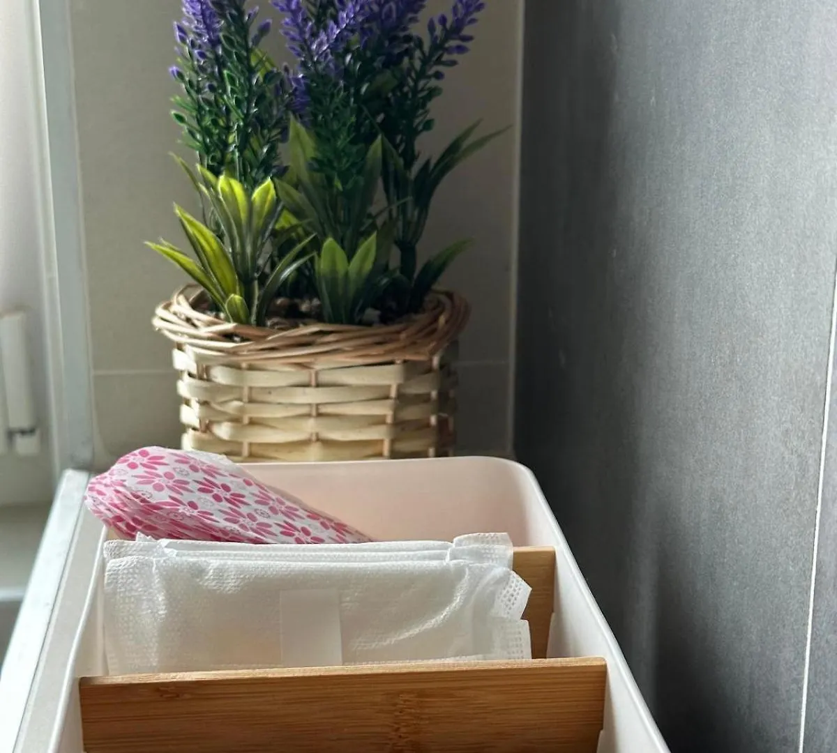 Apartment Mila Ugljan Croatia